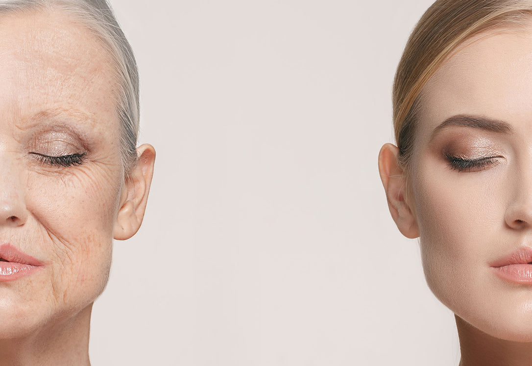 Vegan Alternative to Collagen: All you need to know