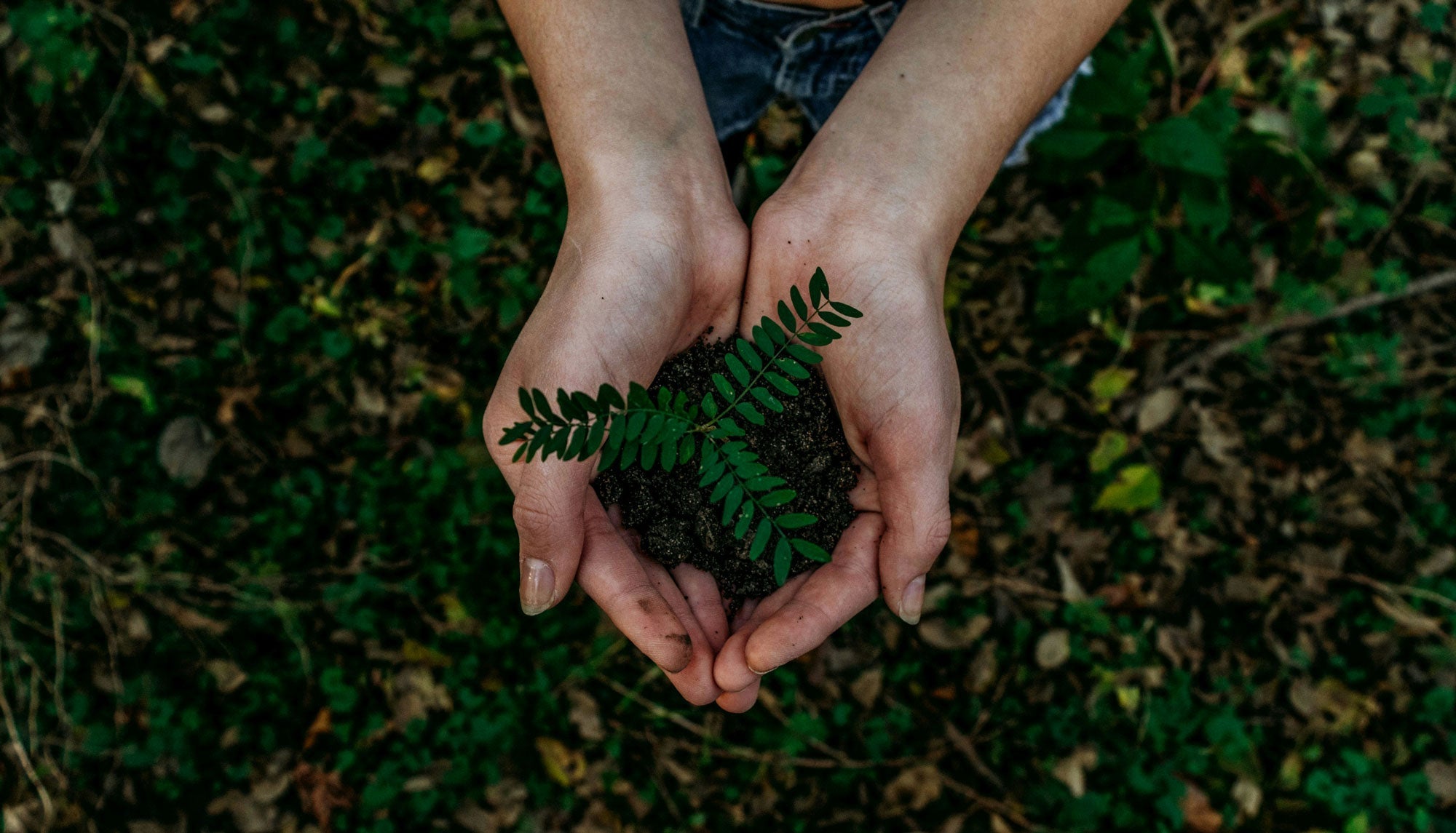Sustainability – There’s a Lot to Do!