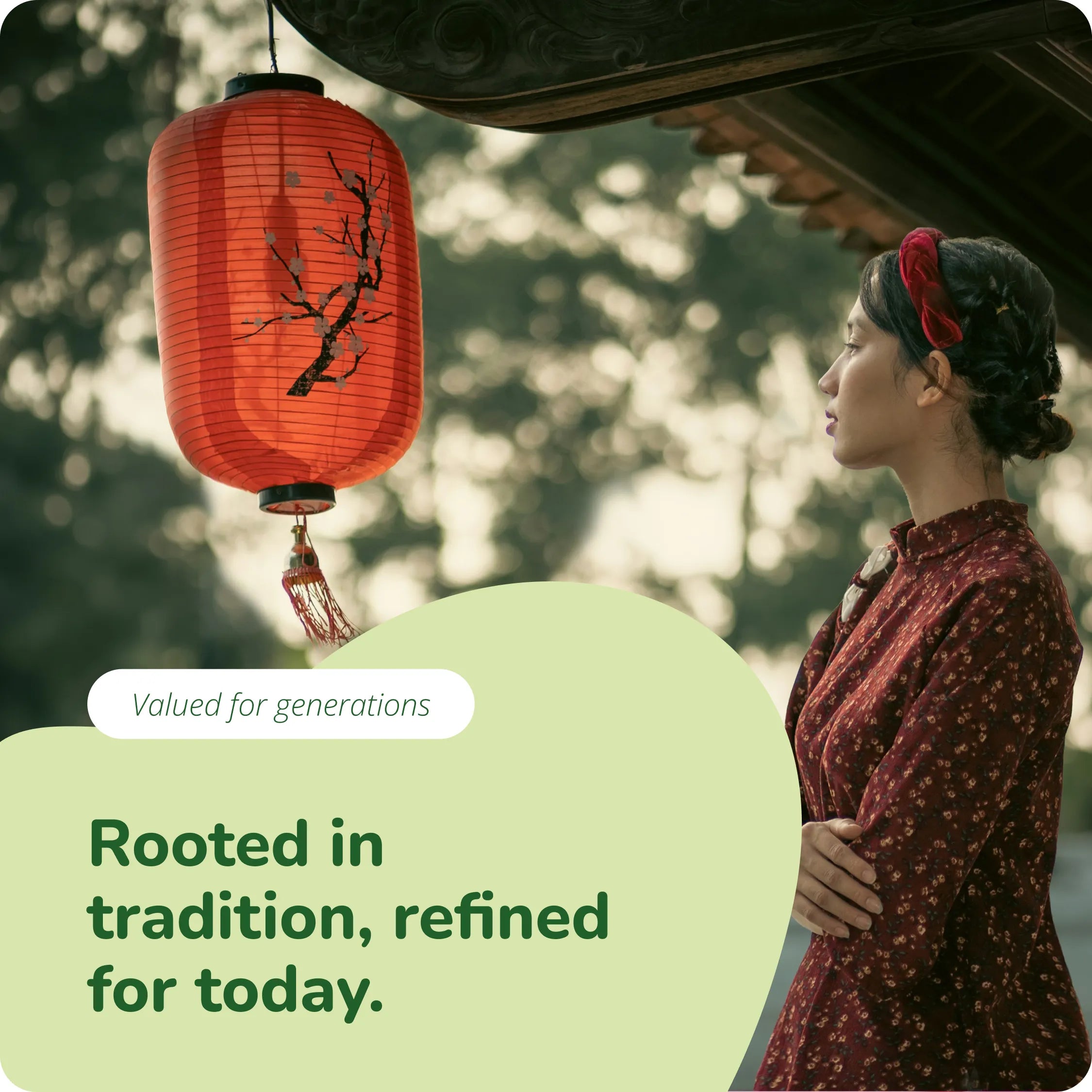 Reishi Extrait Gélules