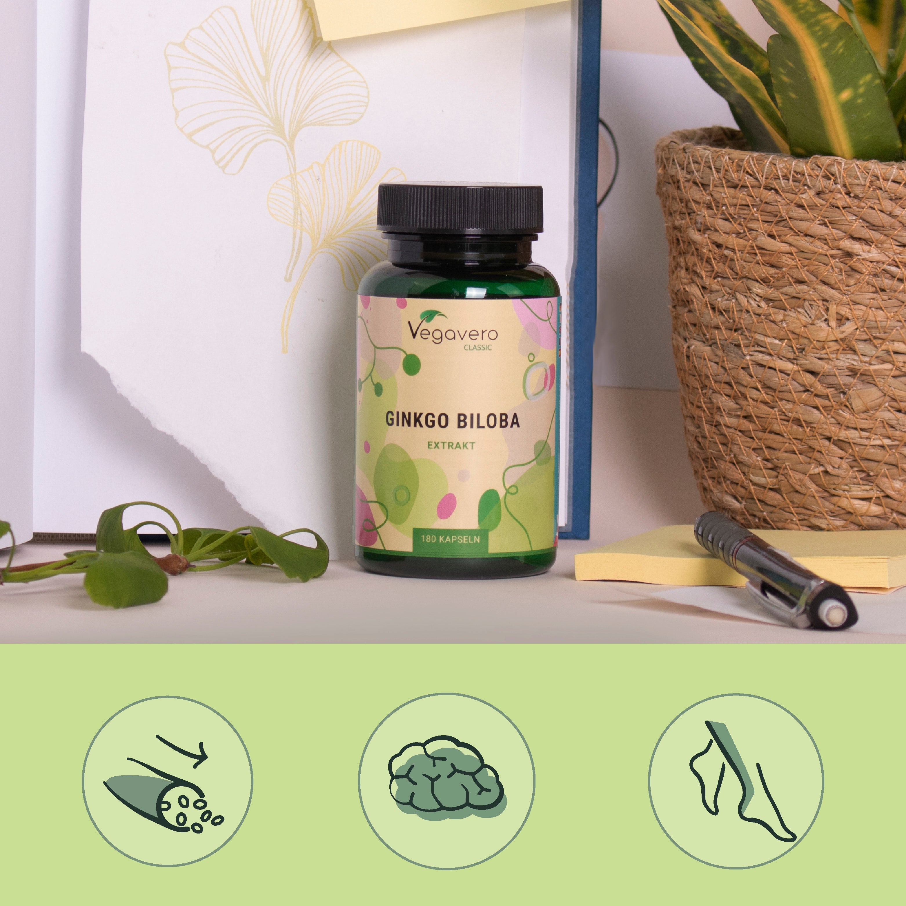 Ginkgo Biloba Extrait Gélules