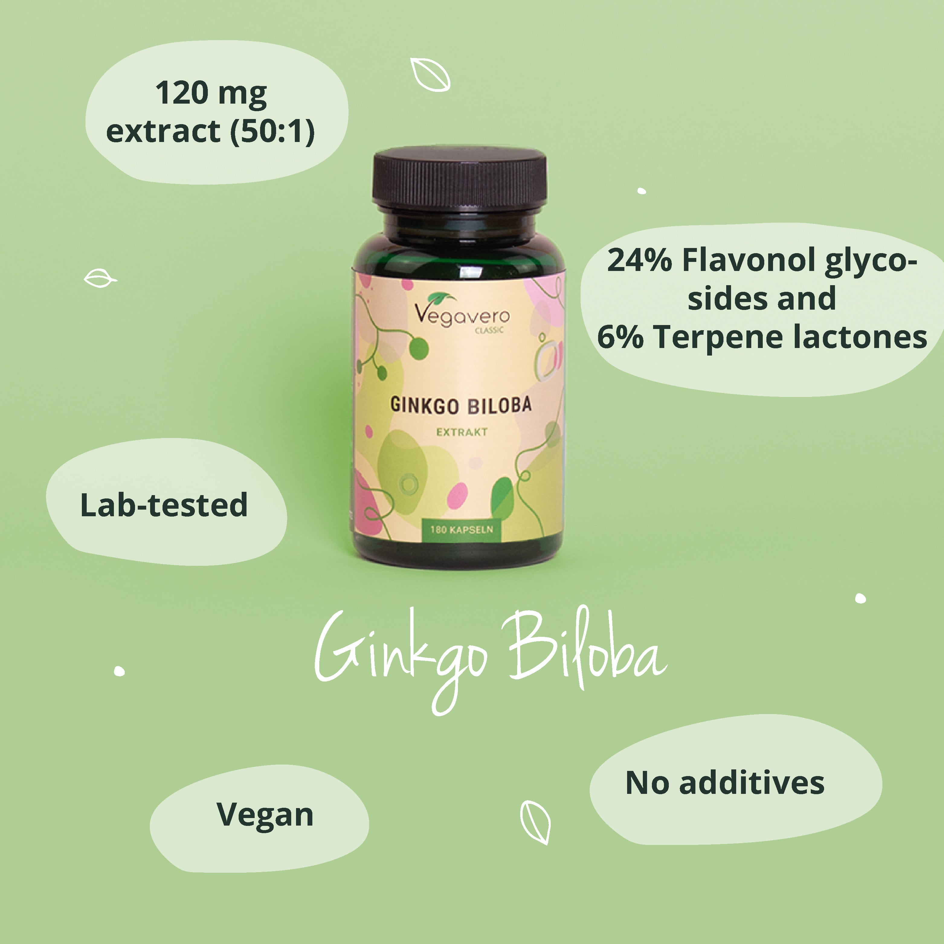 Ginkgo Biloba Extrait Gélules
