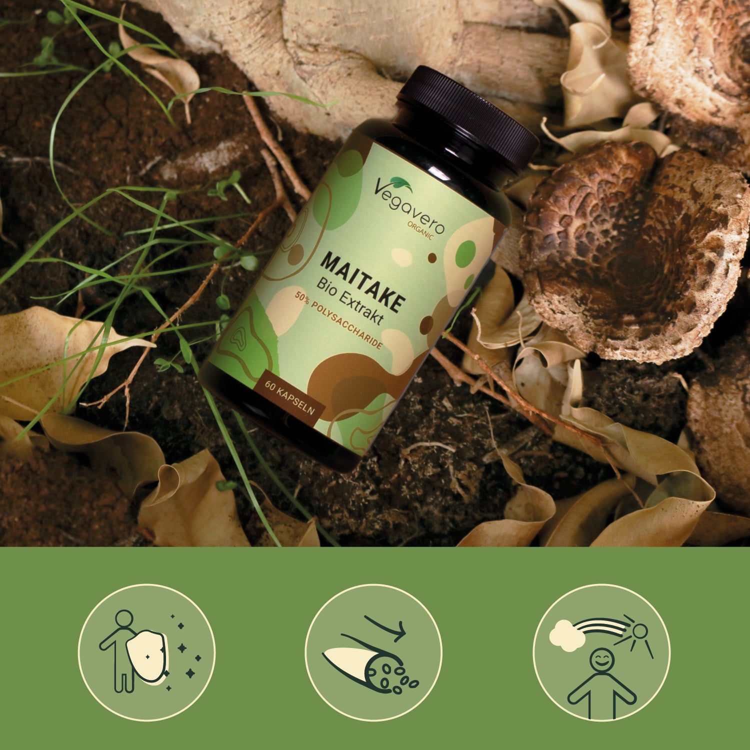 Maitake Extrait Gélules Bio