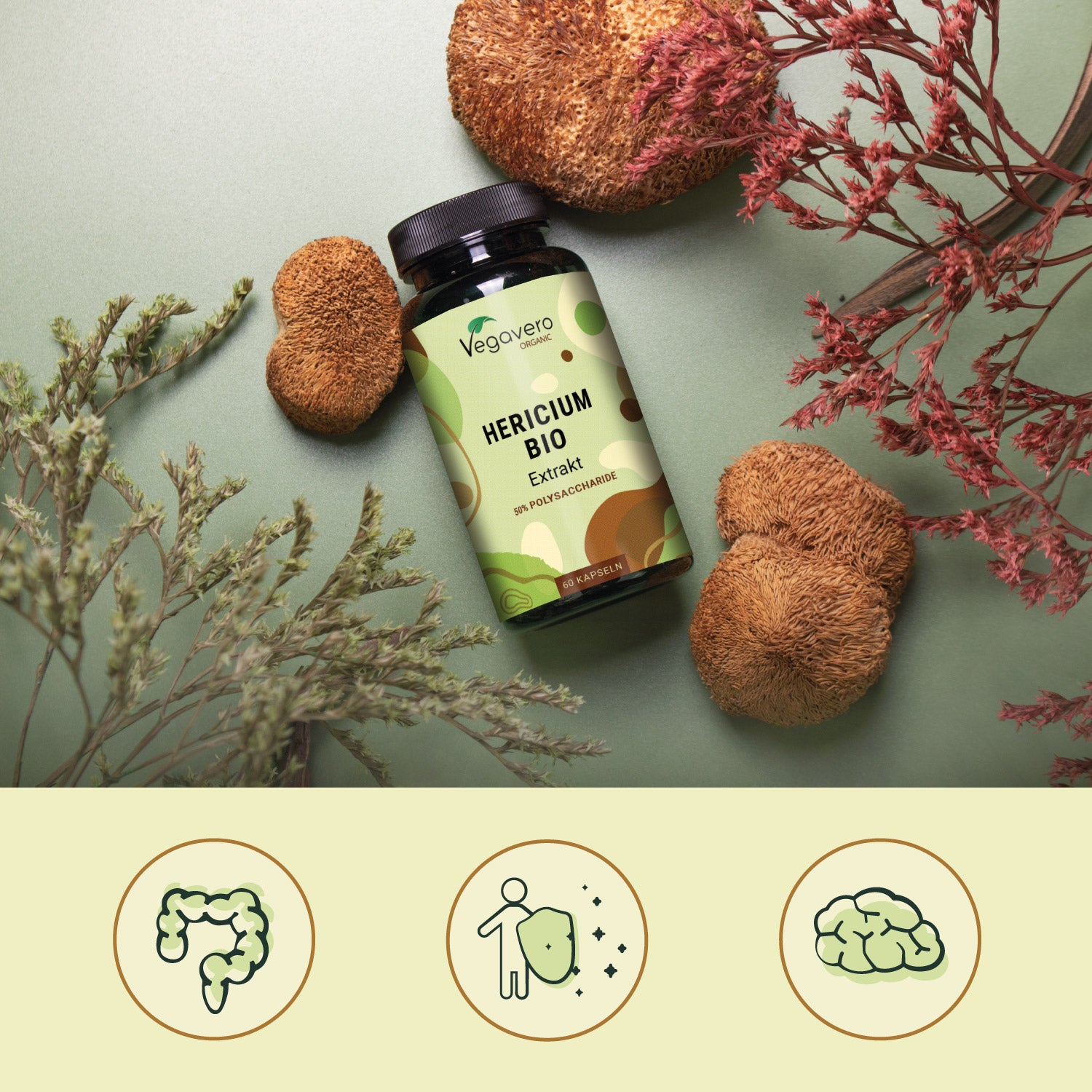 Crinière de Lion Gélules Bio