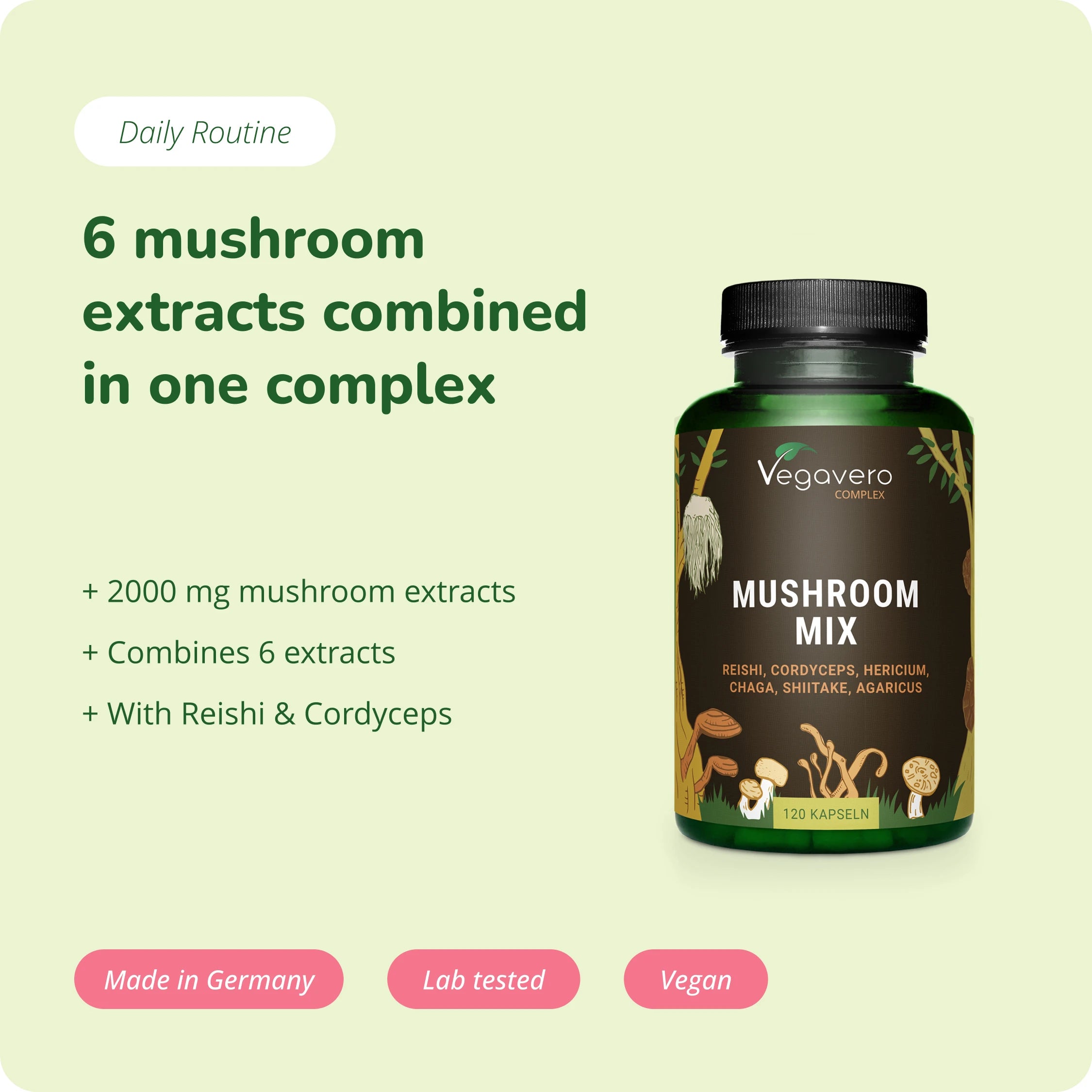 Mushroom Mix Complex Gélules