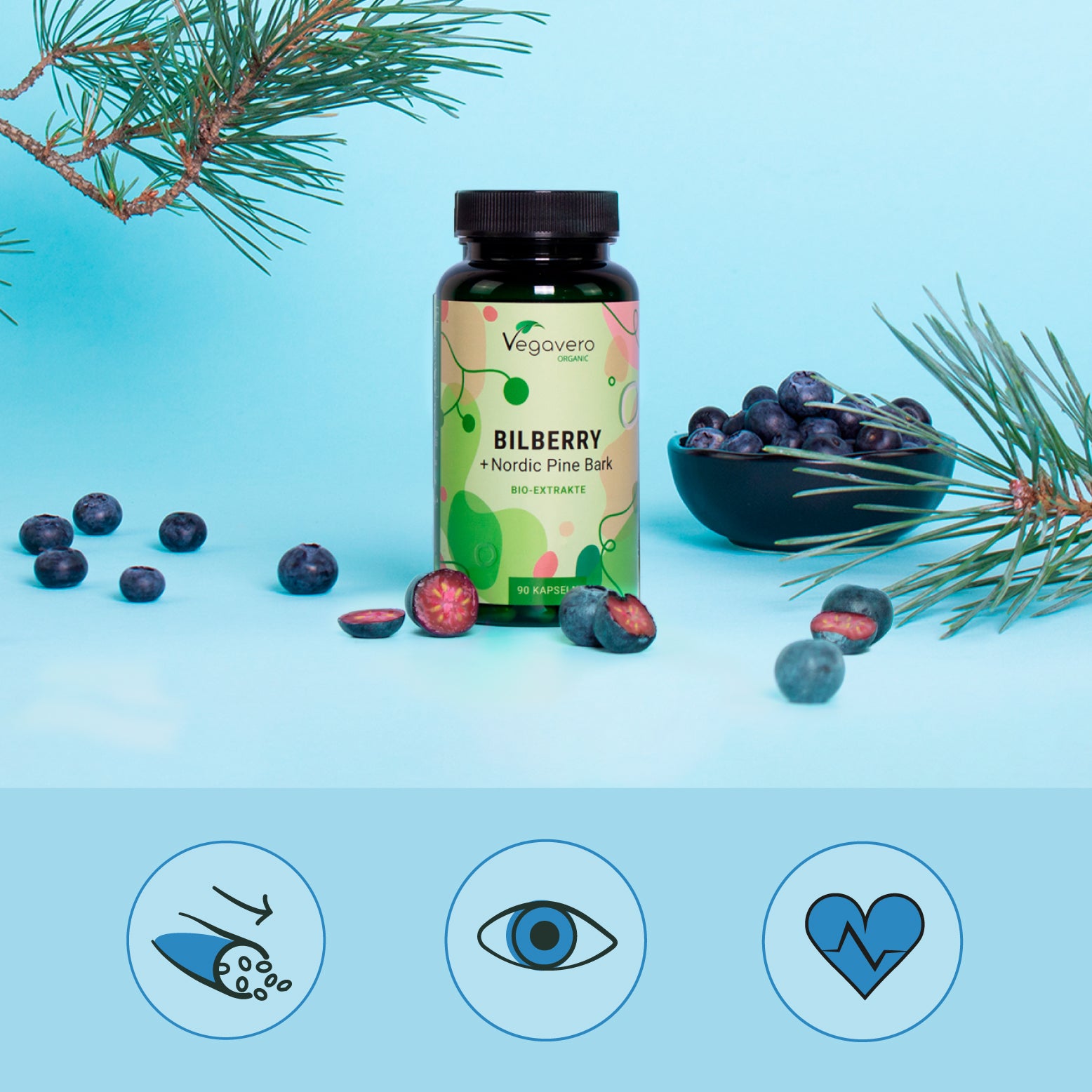 Myrtille + Écorce de Pin Extraits Gélules Bio