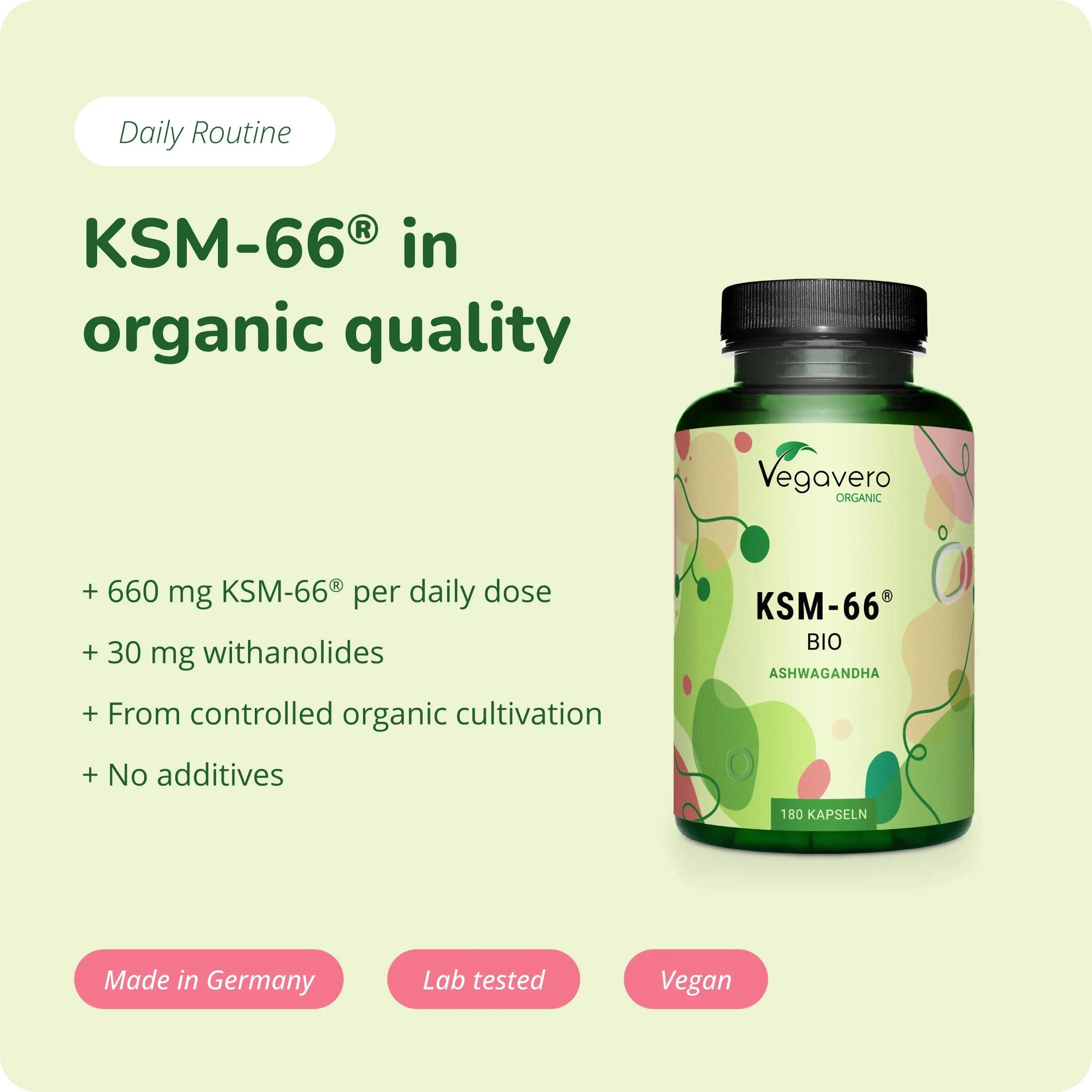 Ashwagandha KSM-66 Extrait Gélules Bio