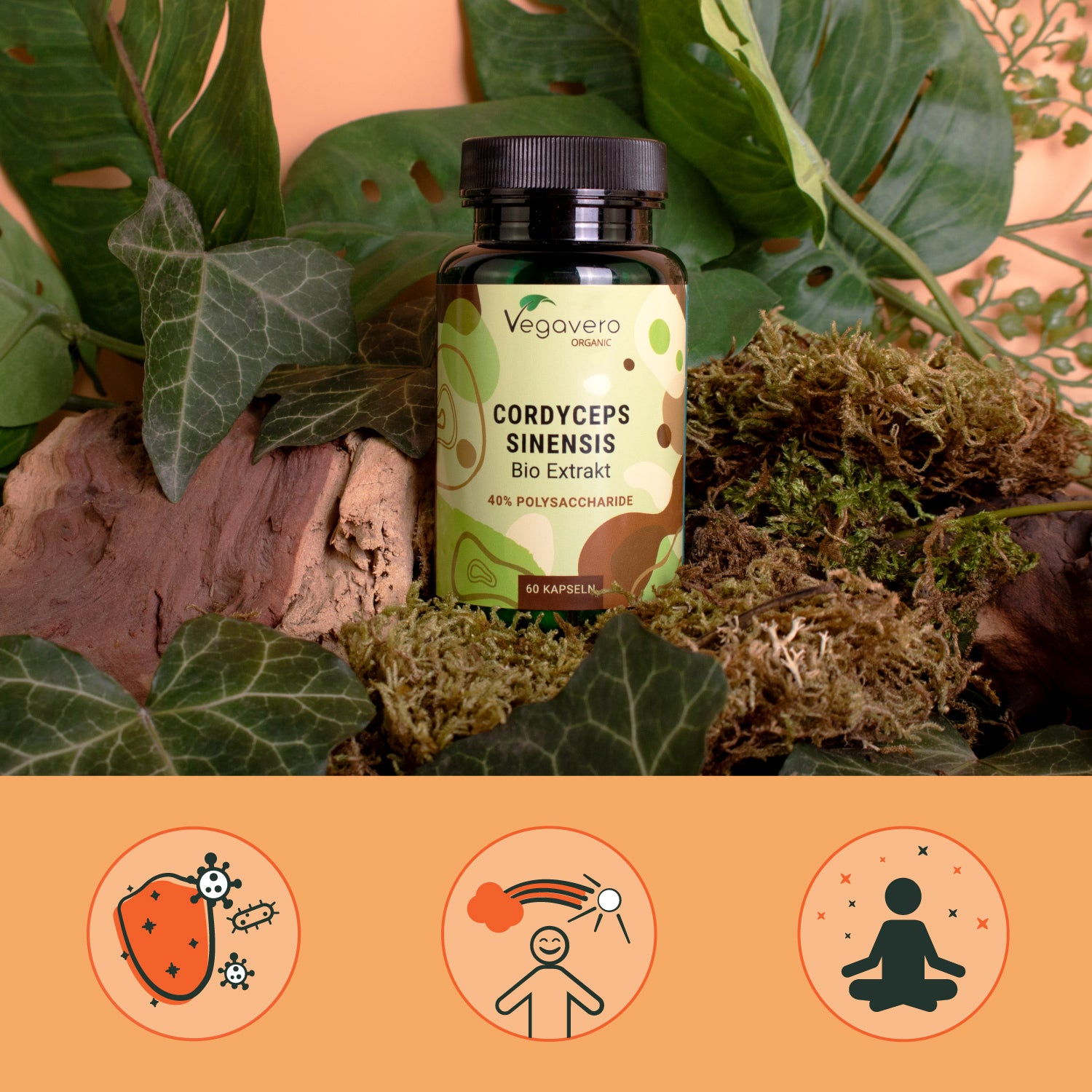 Cordyceps Sinensis Extrait Gélules Bio