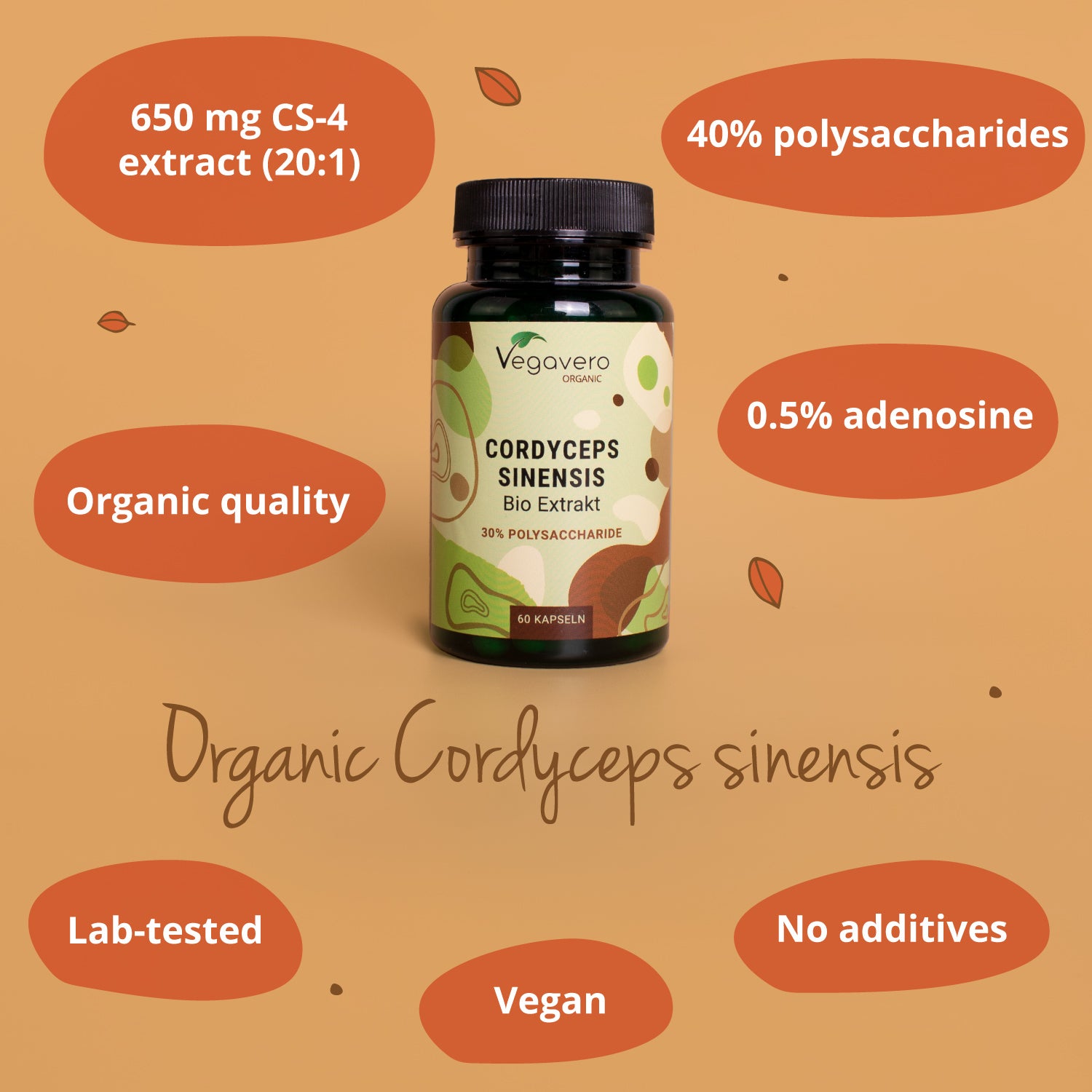 Cordyceps Sinensis Extrait Gélules Bio