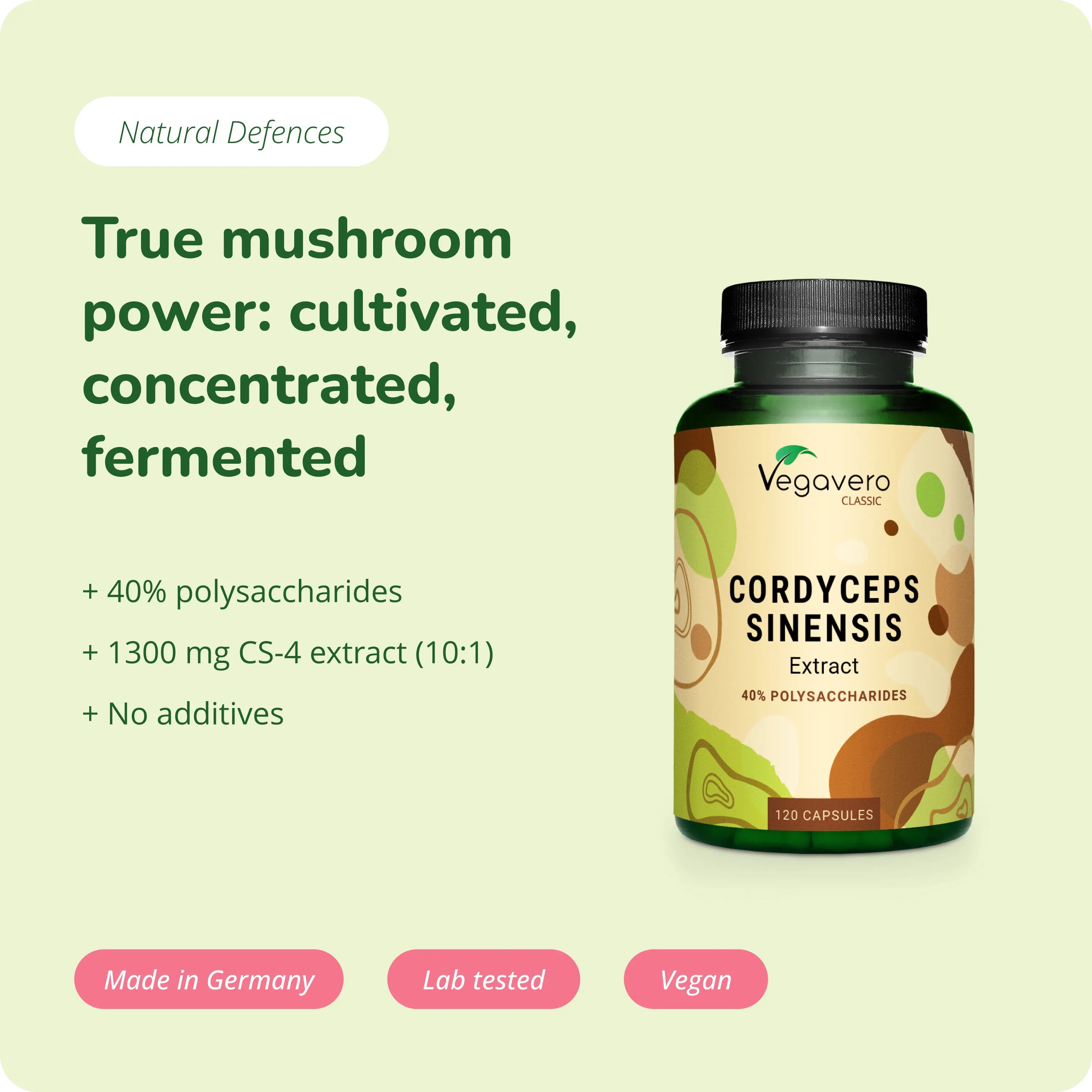 Cordyceps Sinensis Extrait Gélules