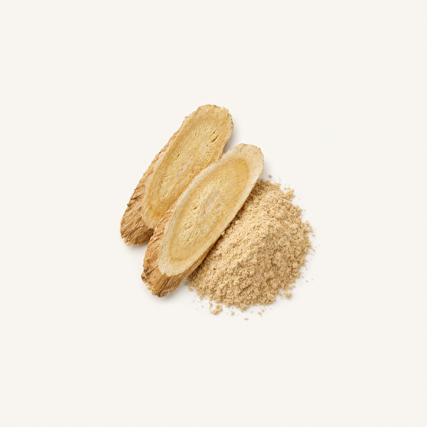 Extrait de Racine d’Astragale (20 % Polysaccharides) BIO