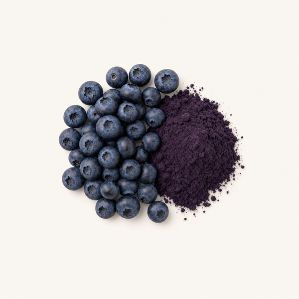 Extrait de fruit de myrtille 25%