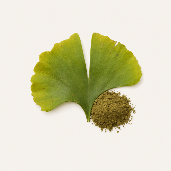 Extrait de feuille de Ginkgo biloba 24%