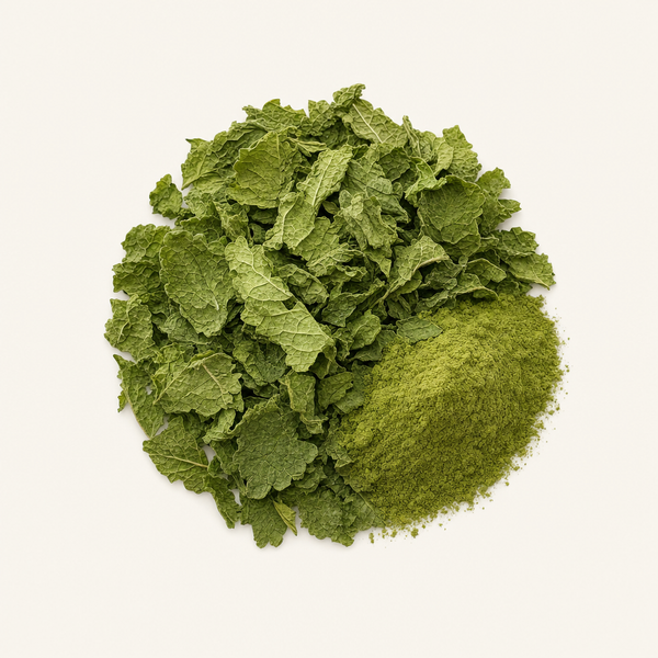 Extrait de feuille de mélisse (Melissa officinalis)