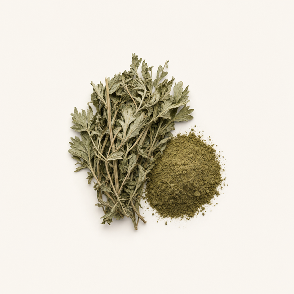 Extrait de plante d'Armoise (Artemisia vulgaris) 2 % de flavonoïdes (UV)