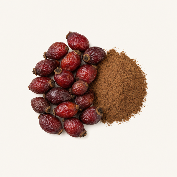 Extrait d’églantier (5 % de flavonoïdes)