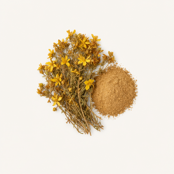 Extrait de Millepertuis Bio