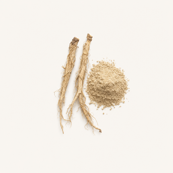 Extrait de racine d’ortie piquante (Urtica dioica) 1 % Beta‑sitostérol (HPLC)