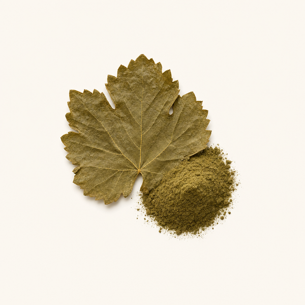 Extrait de feuille de vigne 3%