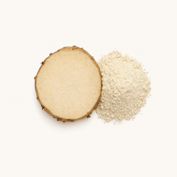 Extrait de rhizome d'igname sauvage (Dioscorea villosa) 20 % diosgénine (HPLC)