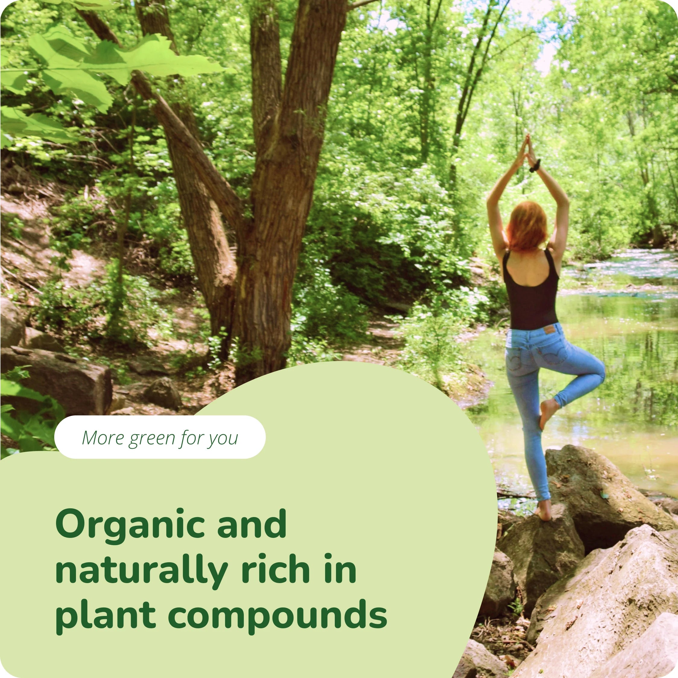 Moringa Oleifera Gélules Bio