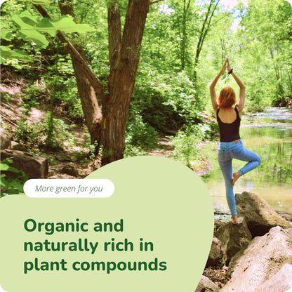 Moringa Oleifera Gélules Bio