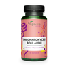 Saccharomyces Boulardii Gélules
