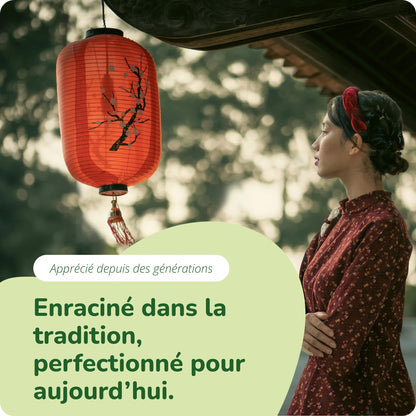 Reishi Extrait Gélules