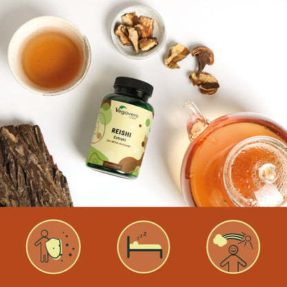 Reishi Extrait Gélules