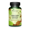 Cordyceps Sinensis Extrait Gélules Bio