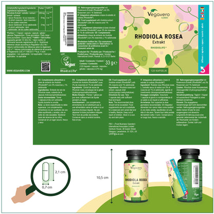 Rhodiola Rosea Extrait Gélules