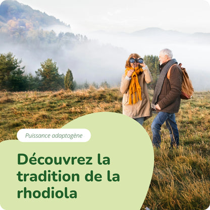 Rhodiola Rosea Extrait Gélules