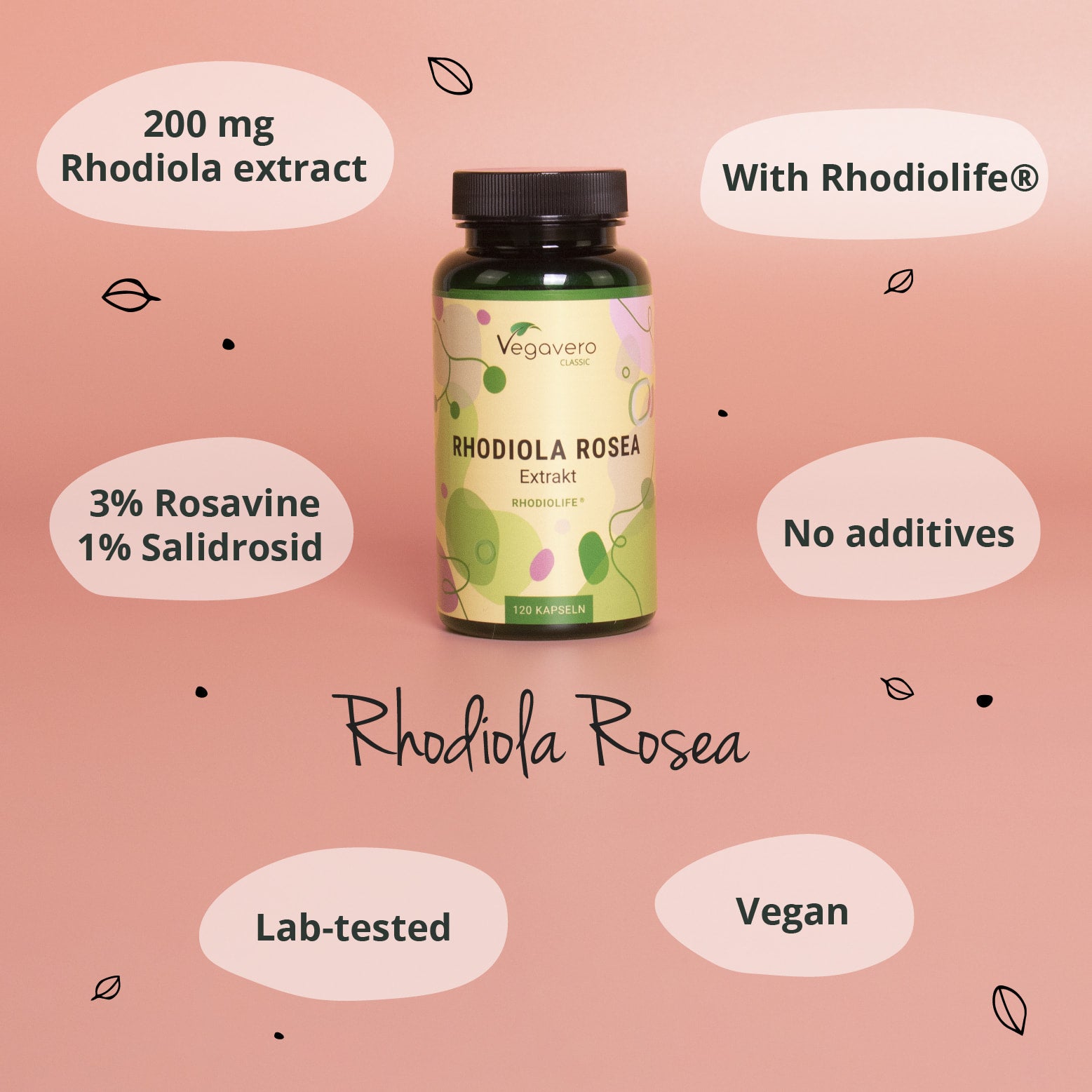 Rhodiola Rosea Extrait Gélules
