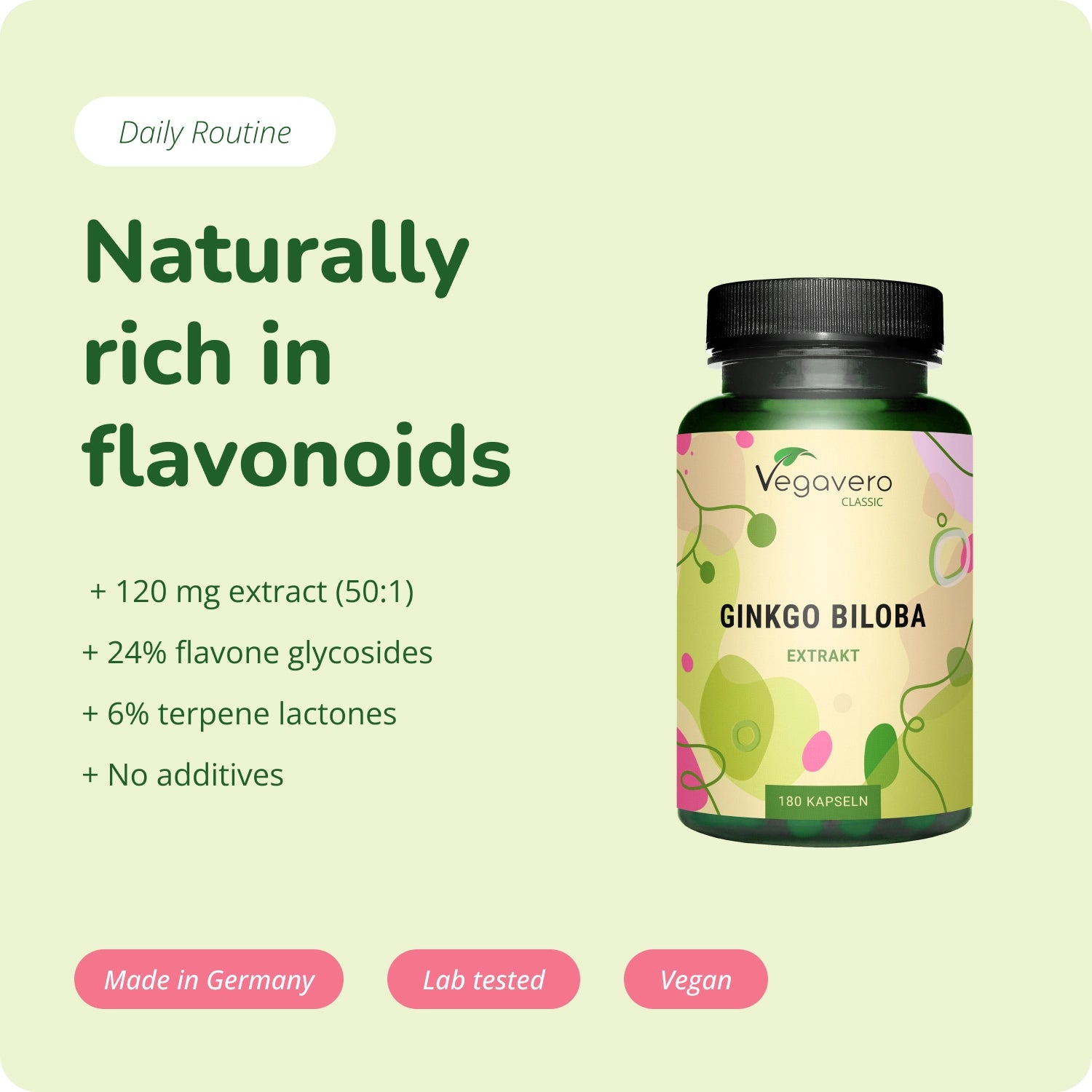 Ginkgo Biloba Extrait Gélules
