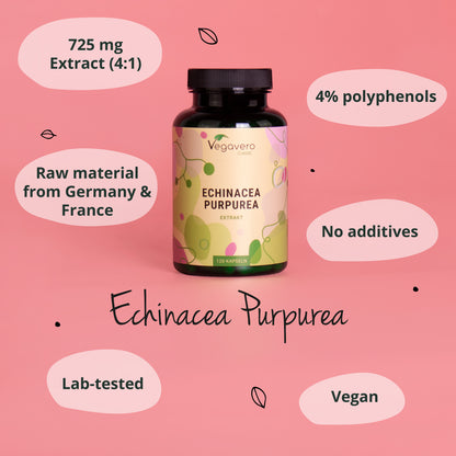 Échinacée Pourpre Extrait Gélules