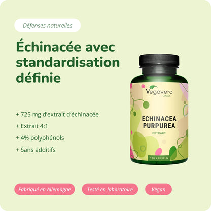 Échinacée Pourpre Extrait Gélules