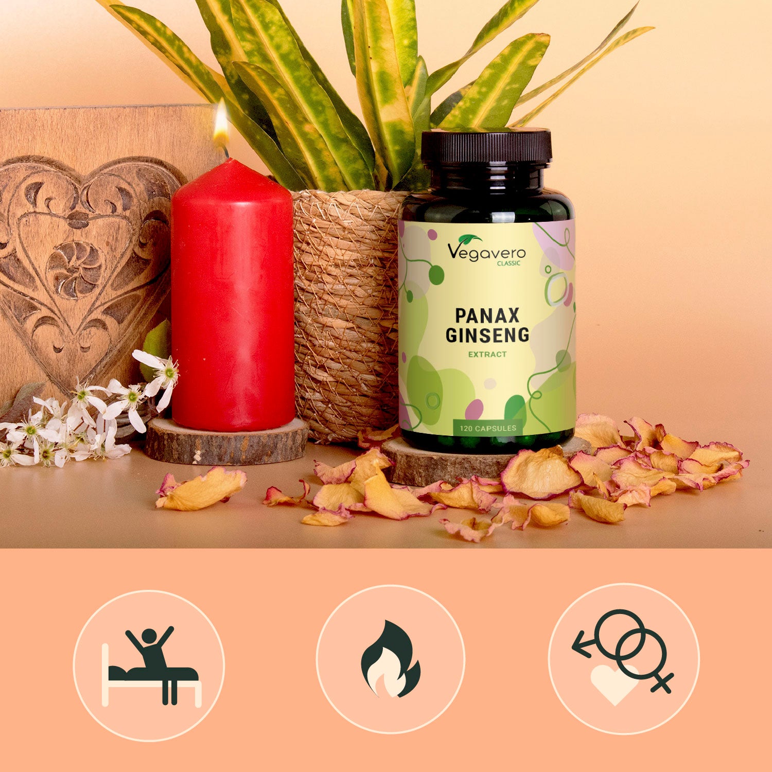 Panax Ginseng Extrait Gélules