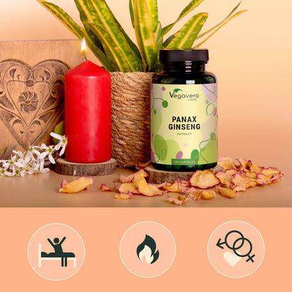 Panax Ginseng Extrait Gélules