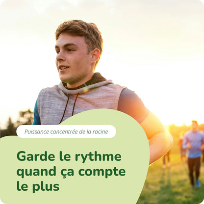 Panax Ginseng Extrait Gélules