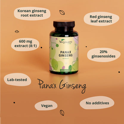 Panax Ginseng Extrait Gélules
