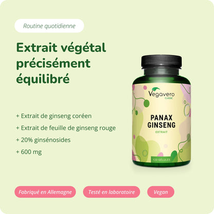 Panax Ginseng Extrait Gélules