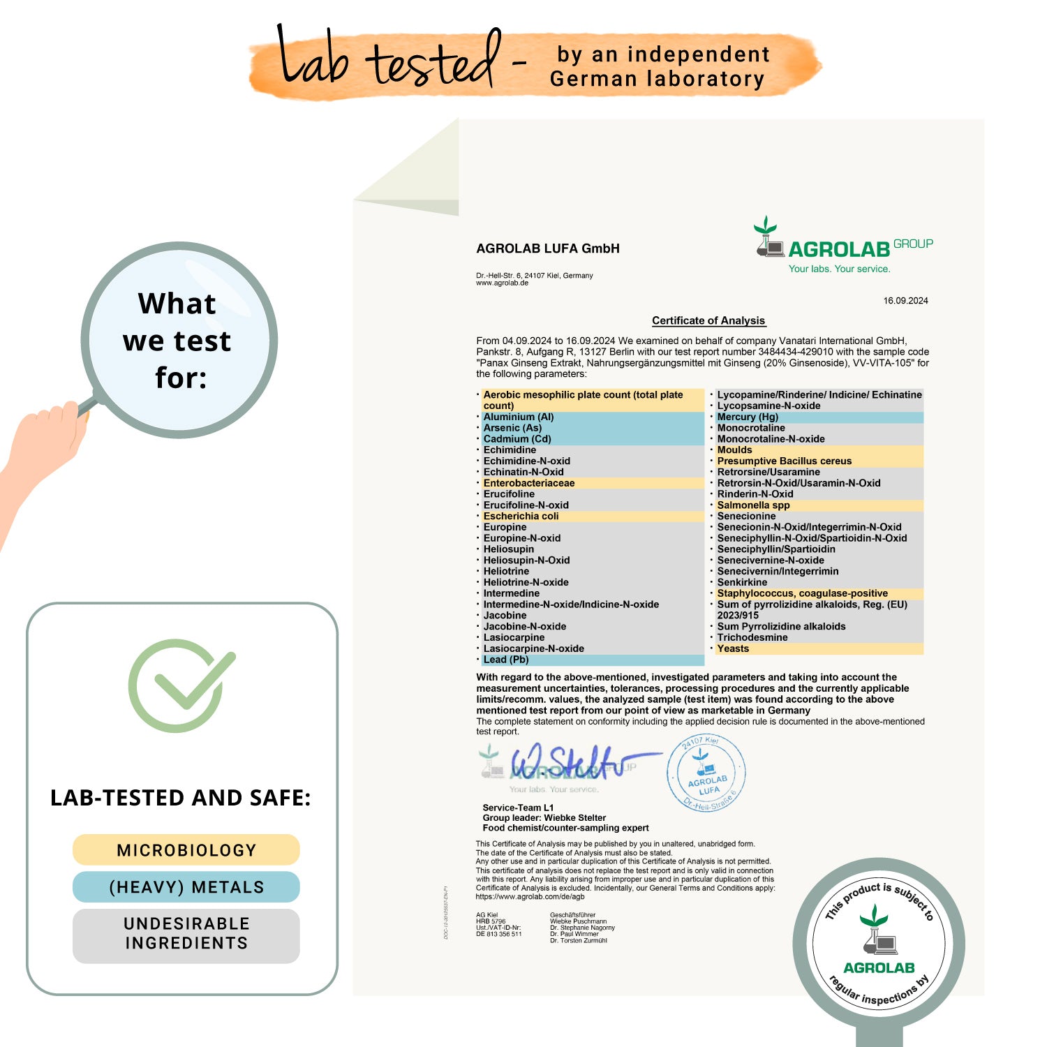 Panax Ginseng Extrait Gélules