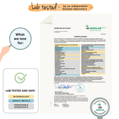 Panax Ginseng Extrait Gélules