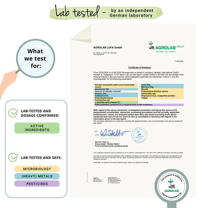 Vitamine C Naturelle Gélules Bio