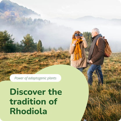 Rhodiola Rosea Extrait Gélules
