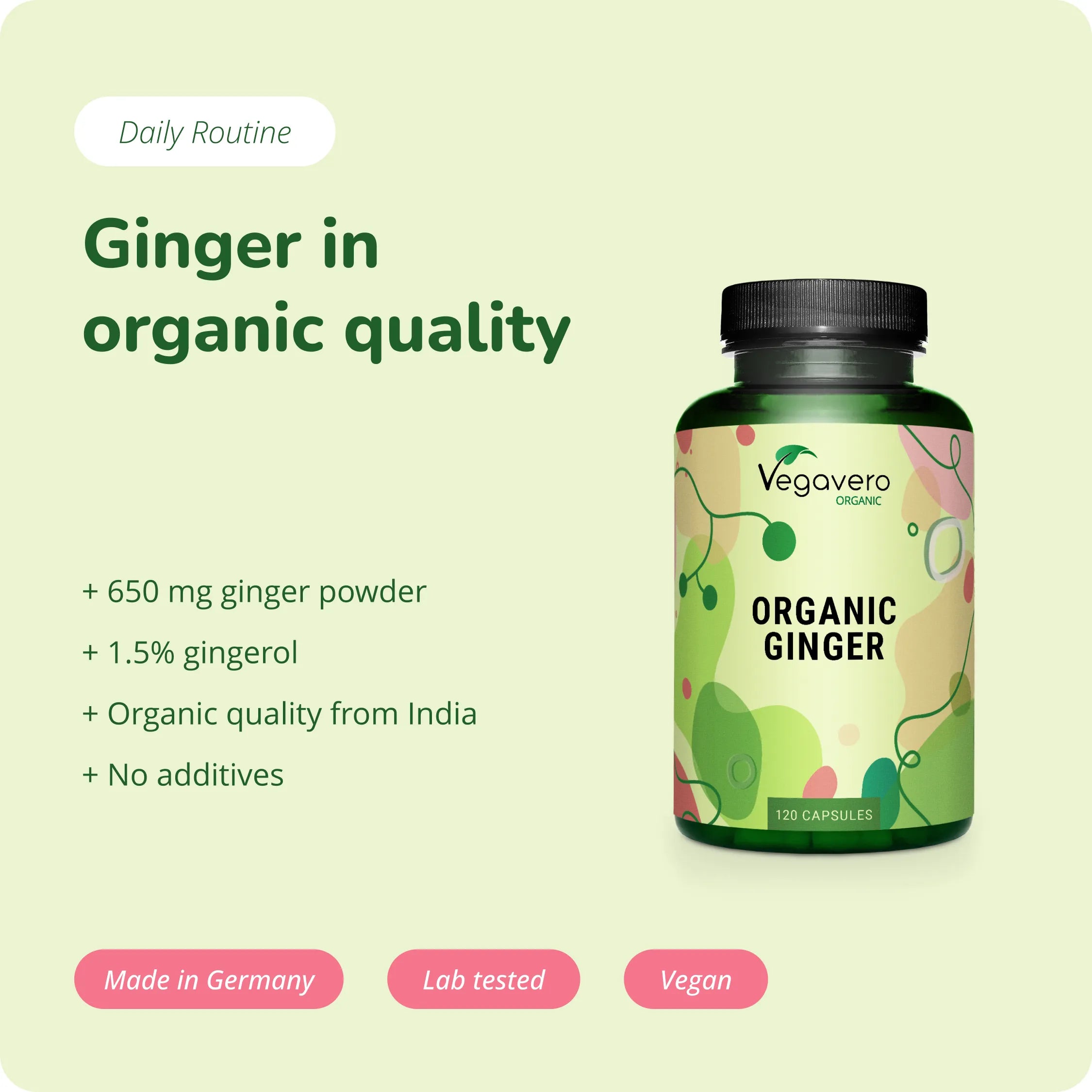 Gingembre Gélules Bio