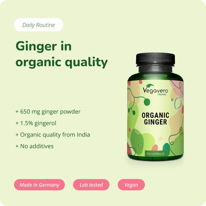 Gingembre Gélules Bio