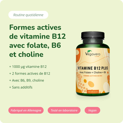 Vitamine B12 Plus Gélules