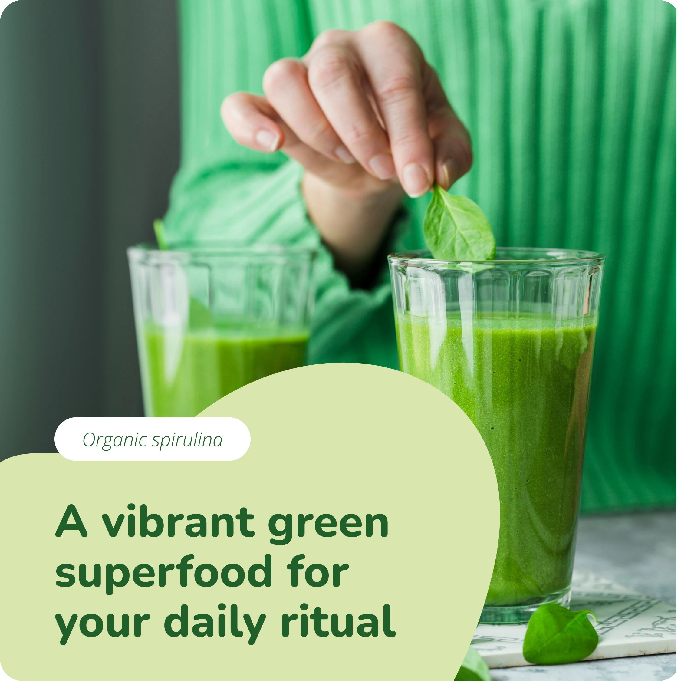 Spiruline Comprimés Bio