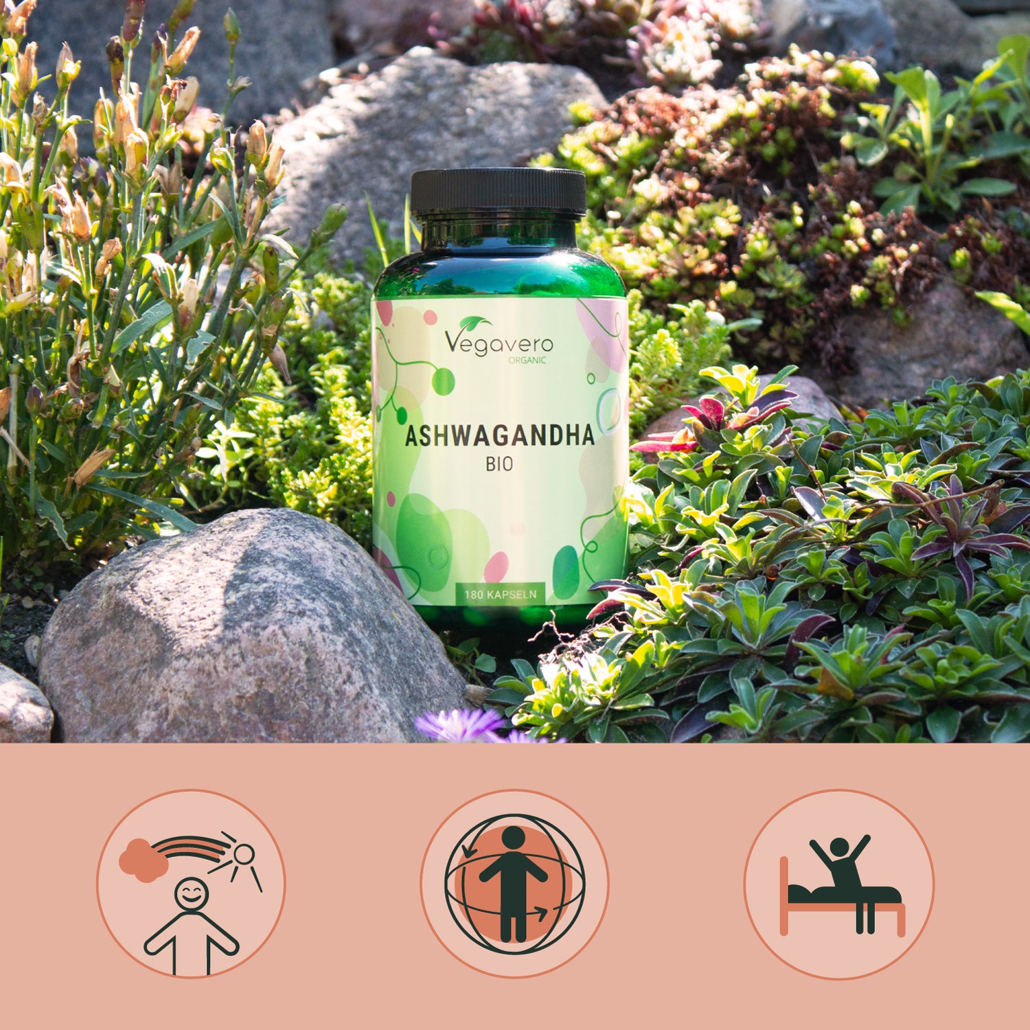 Ashwagandha Gélules Bio