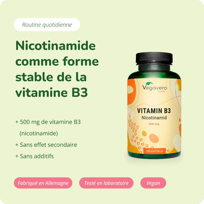Vitamine B3 (Nicotinamide) Gélules